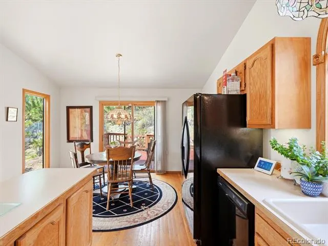 74 Badger Lane Bailey, CO 80421