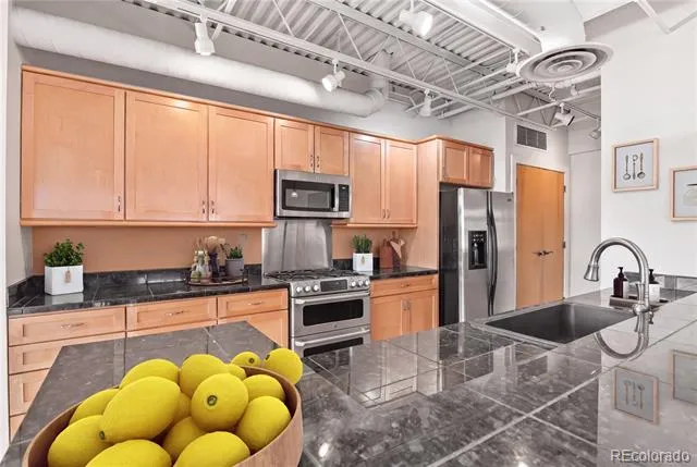 201 E Las Animas Street #313 Colorado Springs, CO 80903