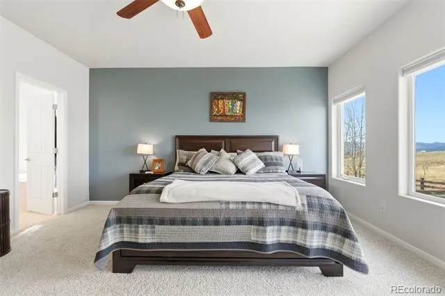 322 Saber Creek Drive Monument, CO 80132