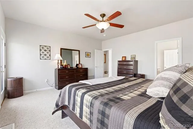 322 Saber Creek Drive Monument, CO 80132