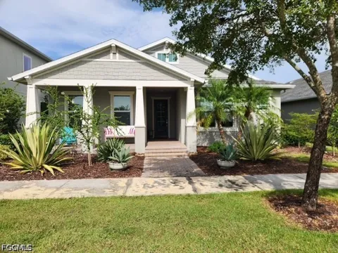 Pine Lily Lane