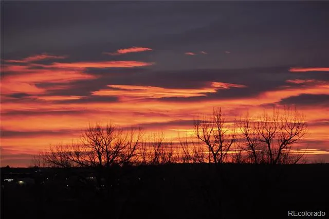 10510 Paxton Court Parker, CO 80134