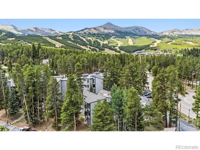 1155 Ski Hill Road #117 Breckenridge, CO 80424