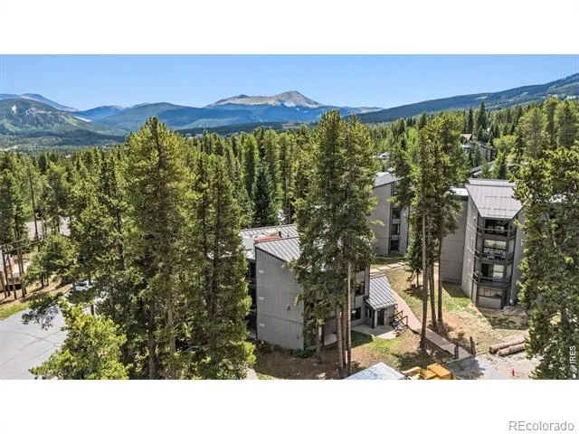 1155 Ski Hill Road #117 Breckenridge, CO 80424