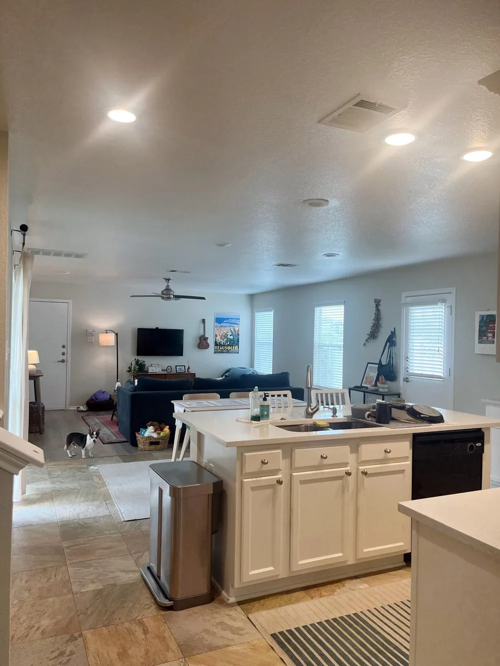 1306 Davis Mountain Loop Cedar Park, TX 78613