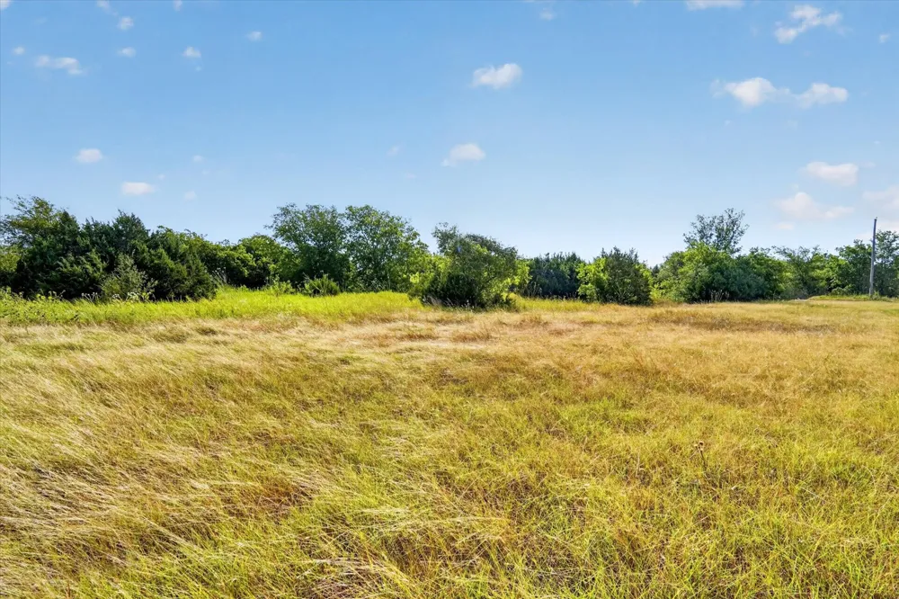 1195 Blum, TX 76627