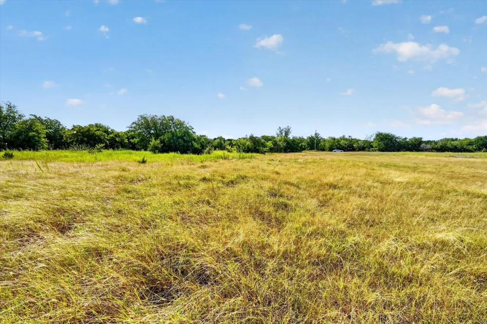 1195 Blum, TX 76627