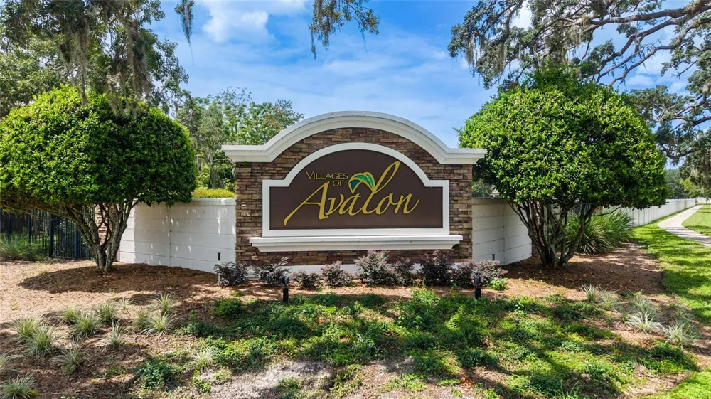165 ARGYLL DRIVE Spring Hill, FL 34609