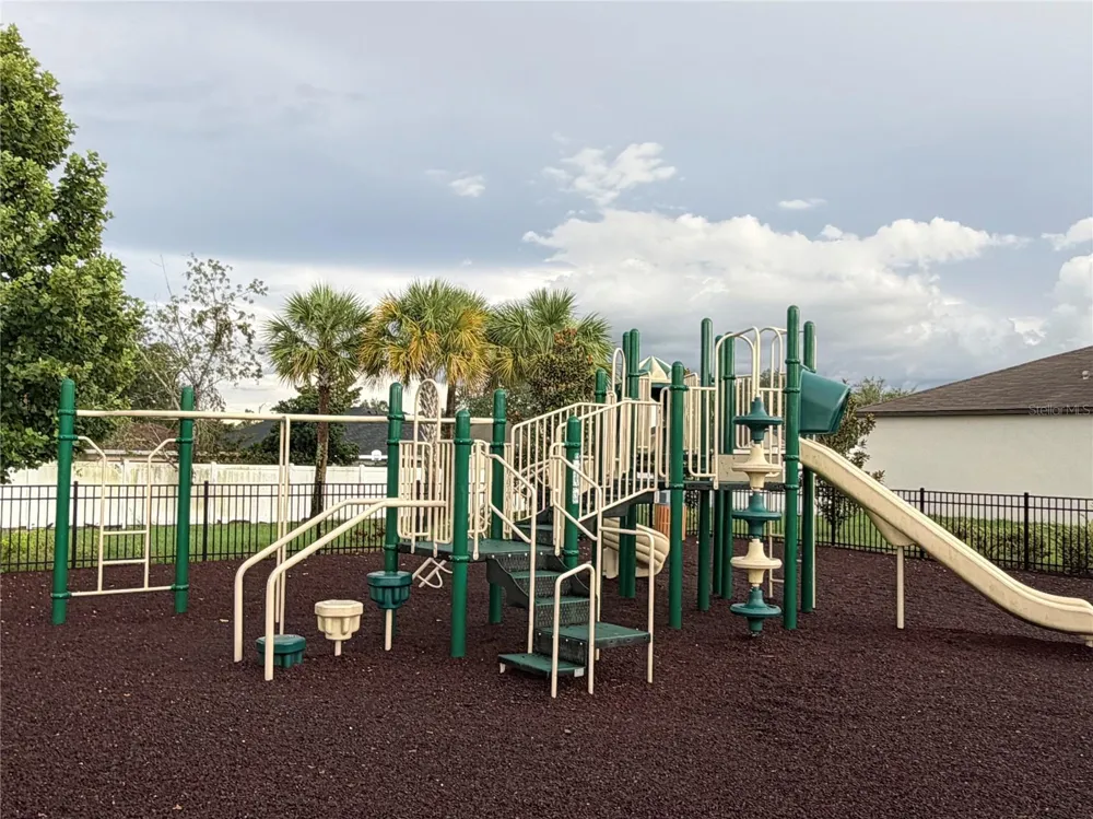 165 ARGYLL DRIVE Spring Hill, FL 34609