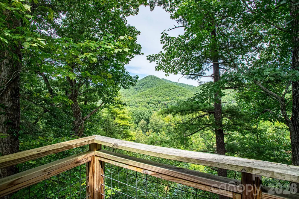 1295 Paint Rock Road Hot Springs, NC 28743