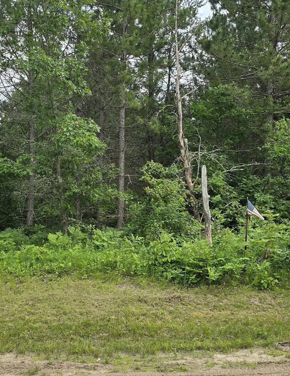 30945 Vahalla Lane Cass Lake, MN 56633