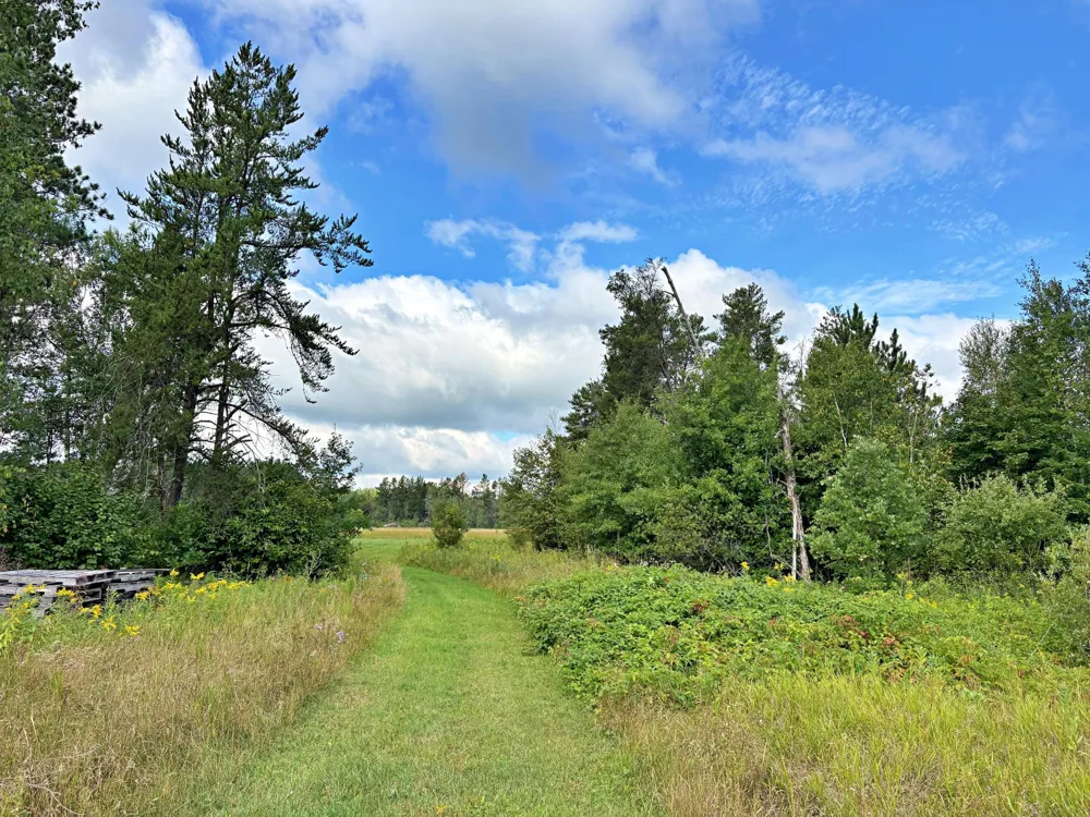 15634 318th Street Menahga, MN 56464