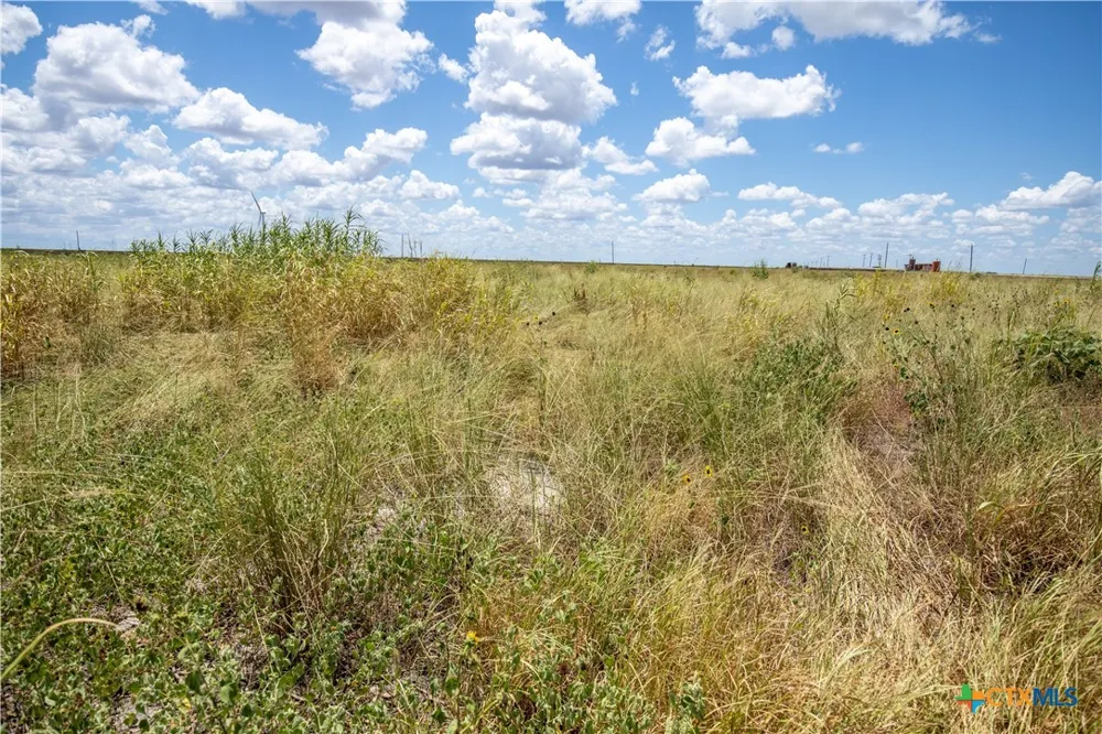 County Road 647 Mathis, TX 78368