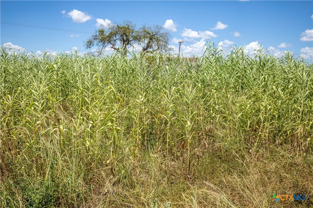 County Road 647 Mathis, TX 78368