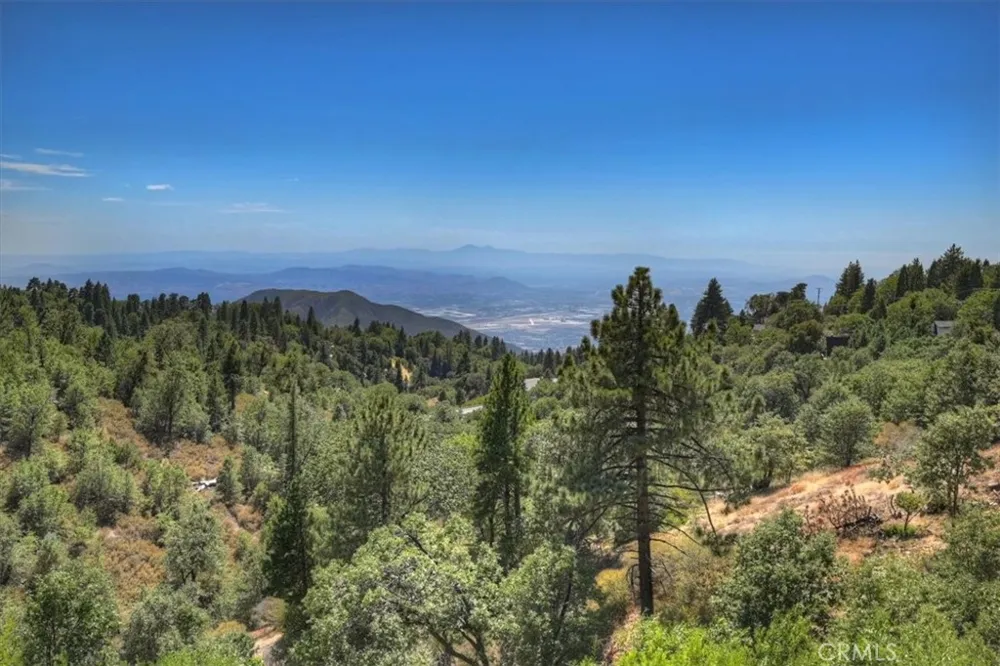 30607 Ferndale Running Springs, CA 92382