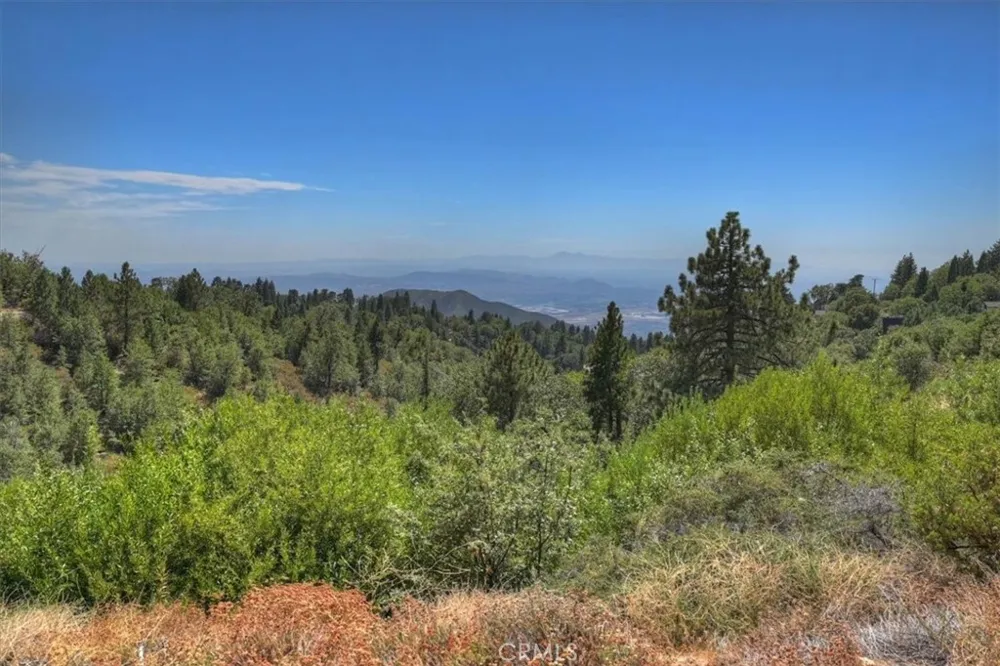 30607 Ferndale Running Springs, CA 92382