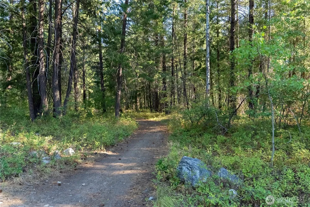 9 Deer Run Loop Road Winthrop, WA 98856