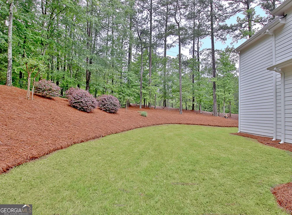 20 Woodchase DR Senoia, GA 30276