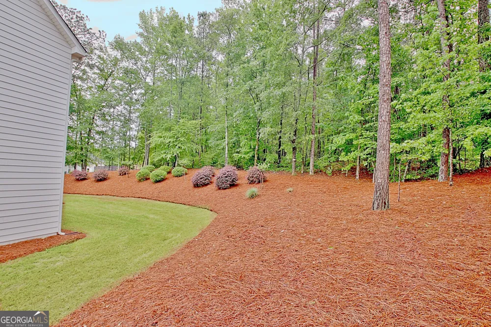20 Woodchase DR Senoia, GA 30276