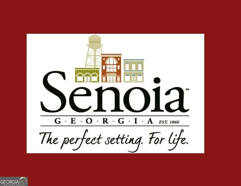 20 Woodchase DR Senoia, GA 30276