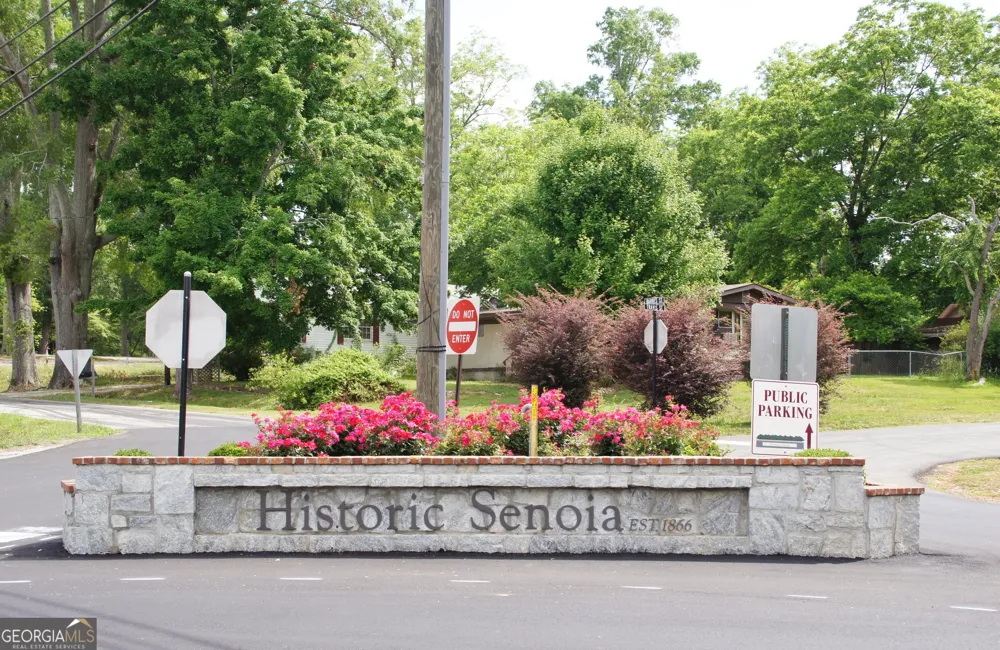 20 Woodchase DR Senoia, GA 30276