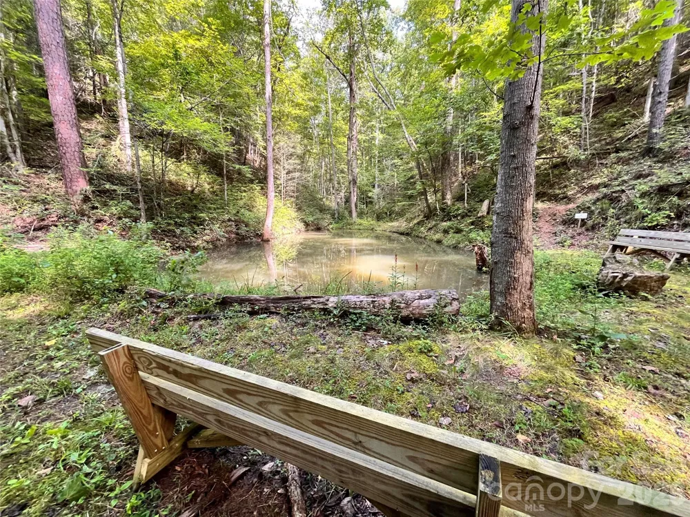 1295 Paint Rock Road Hot Springs, NC 28743