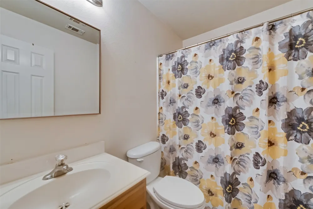 9805 Tanglebrush Drive McKinney, TX 75072