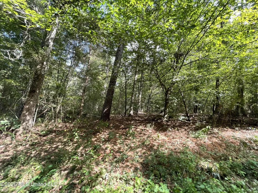 Roberts Lane Wesson, MS 39191
