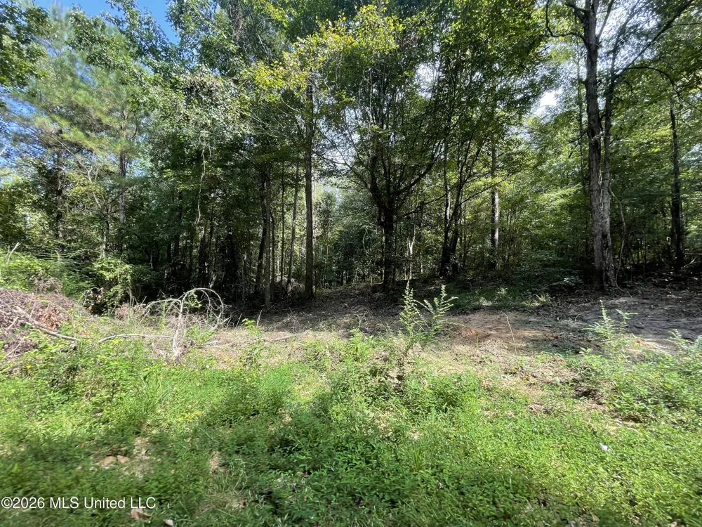 Roberts Lane Wesson, MS 39191