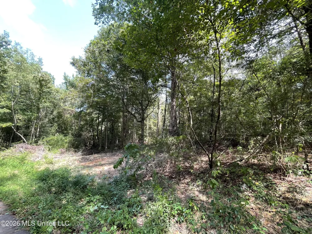 Roberts Lane Wesson, MS 39191