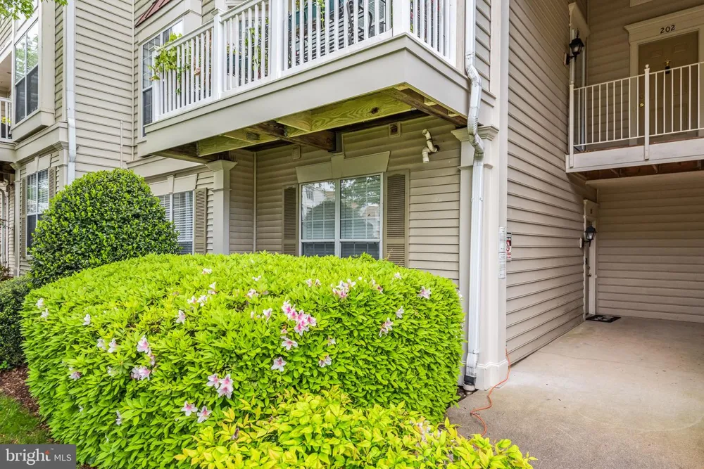 8202 CATBIRD CIRCLE #101 Lorton, VA 22079