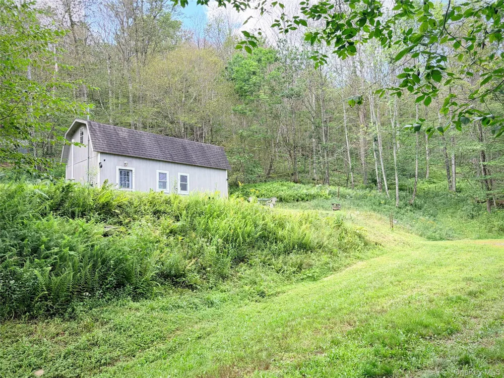 494 Doyle Road Roscoe, NY 12776