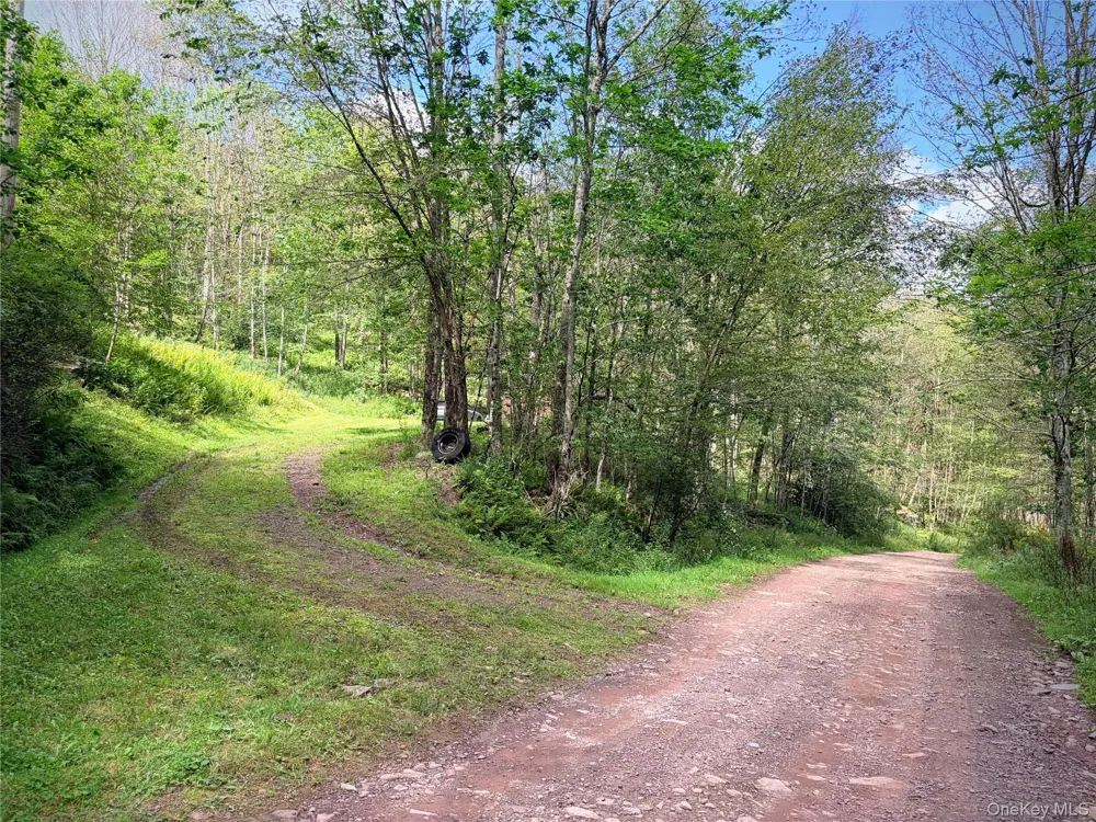 494 Doyle Road Roscoe, NY 12776