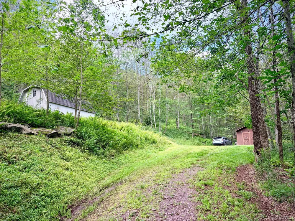 494 Doyle Road Roscoe, NY 12776