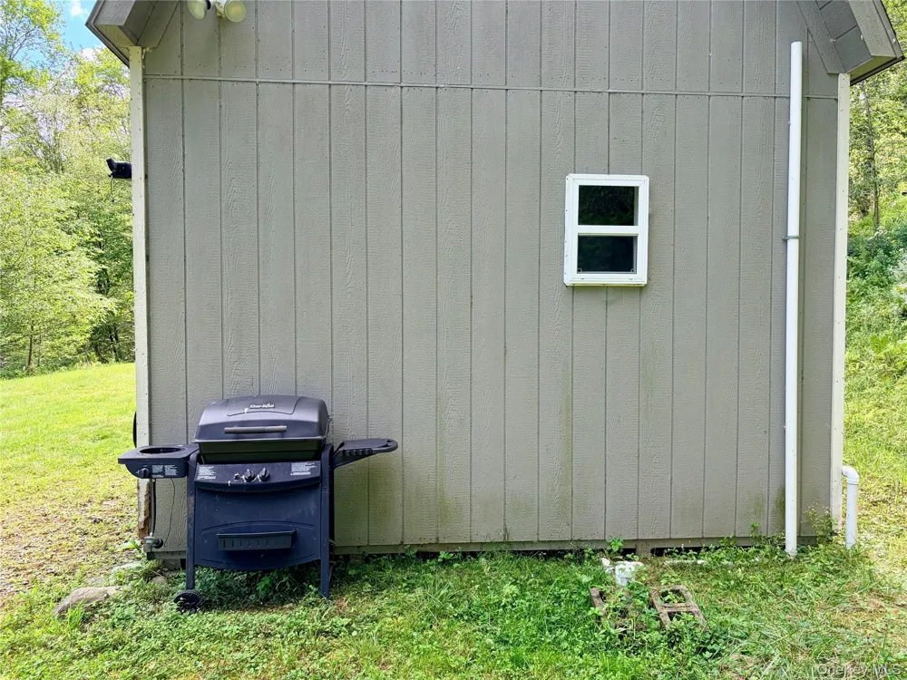 494 Doyle Road Roscoe, NY 12776
