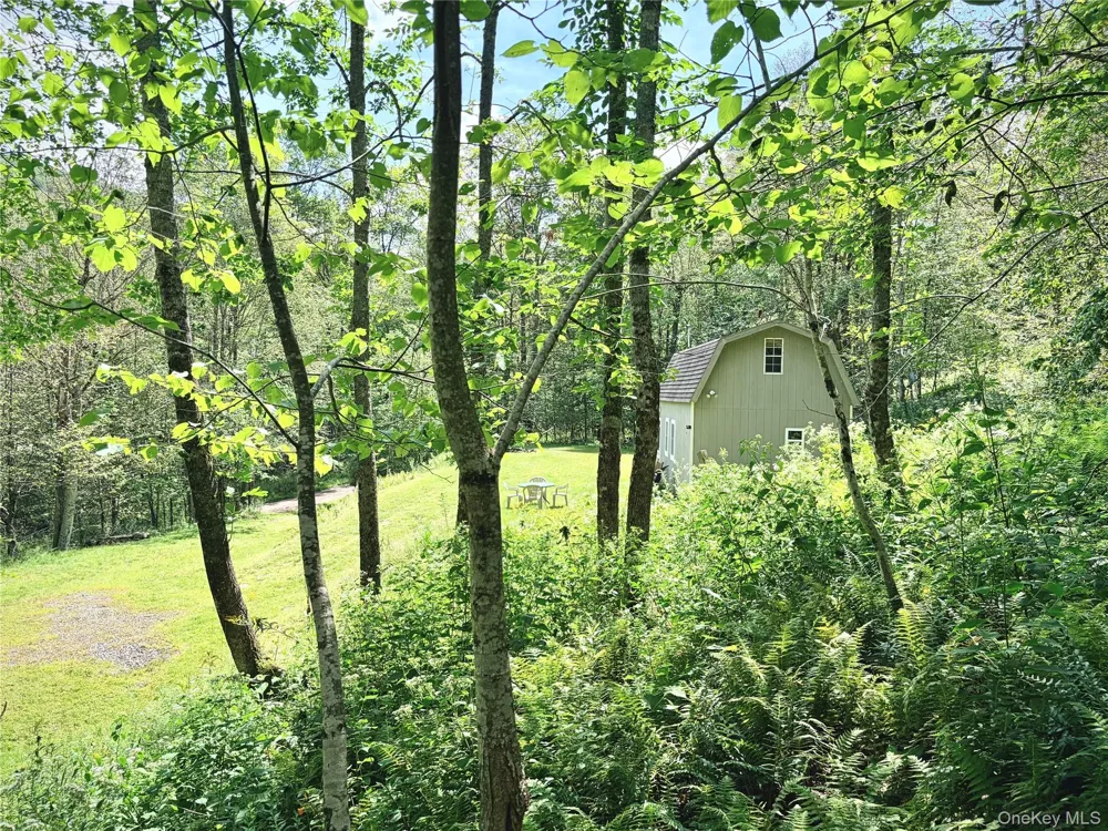 494 Doyle Road Roscoe, NY 12776