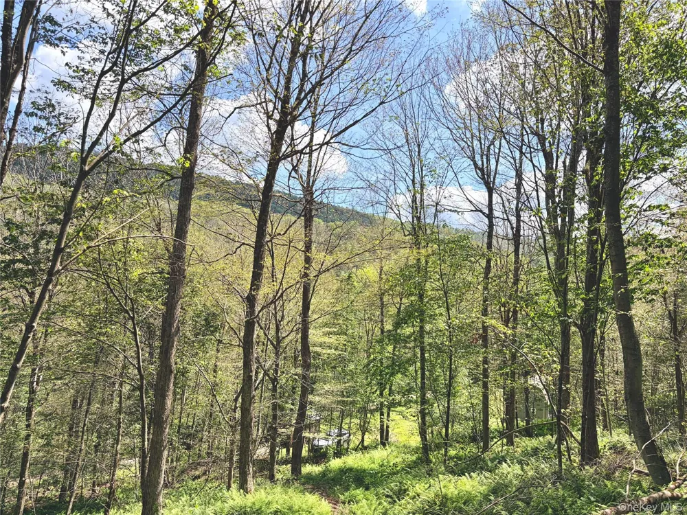 494 Doyle Road Roscoe, NY 12776