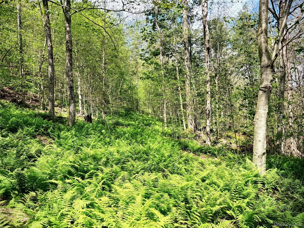 494 Doyle Road Roscoe, NY 12776