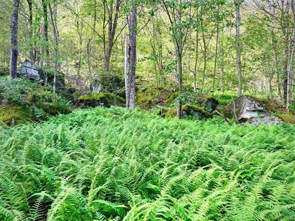 494 Doyle Road Roscoe, NY 12776