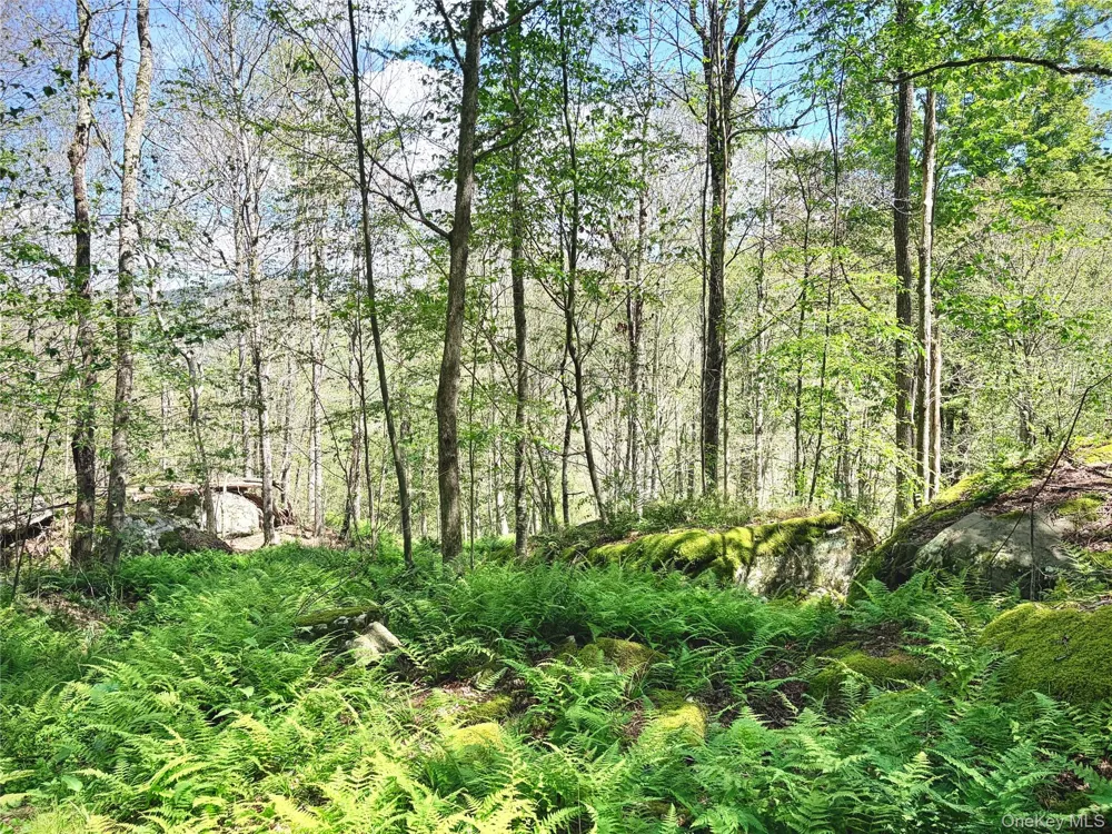 494 Doyle Road Roscoe, NY 12776