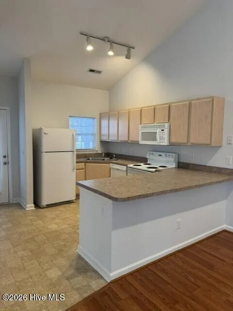 216 Hibiscus Way Wilmington, NC 28412