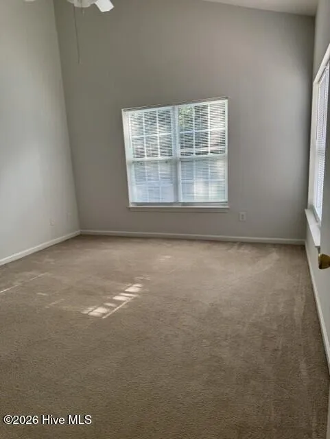 216 Hibiscus Way Wilmington, NC 28412