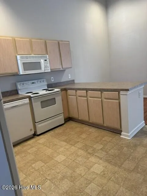 216 Hibiscus Way Wilmington, NC 28412