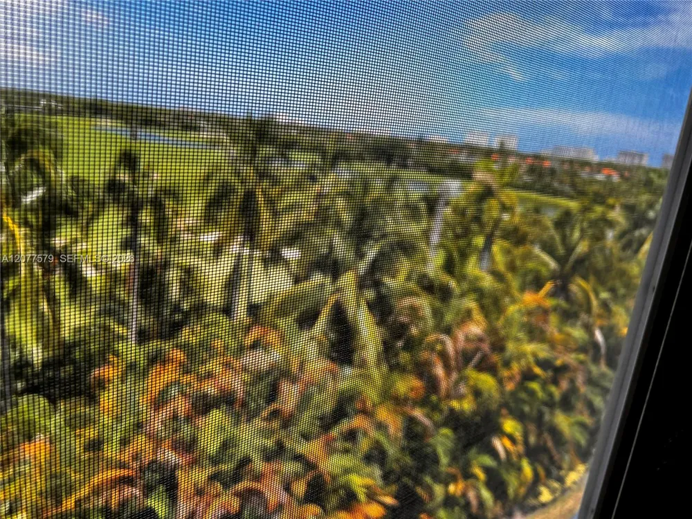 1445 Atlantic Shores Blvd #604 Hallandale Beach, FL 33009