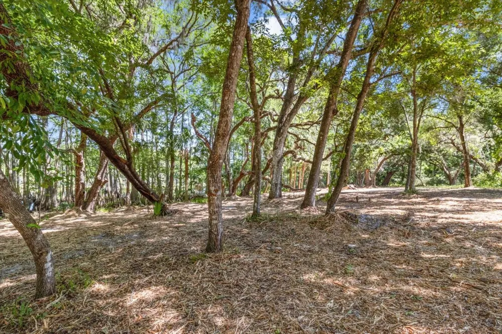 1255 S ESTATE POINT Inverness, FL 34450