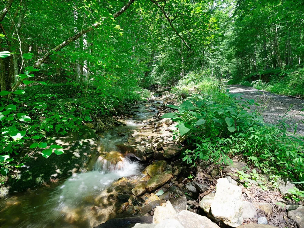 1523 Roaring Fork Road Burnsville, NC 28714