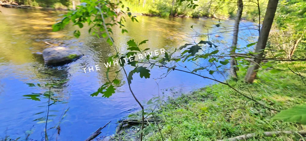 899 E 8th Street White Cloud, MI 49349