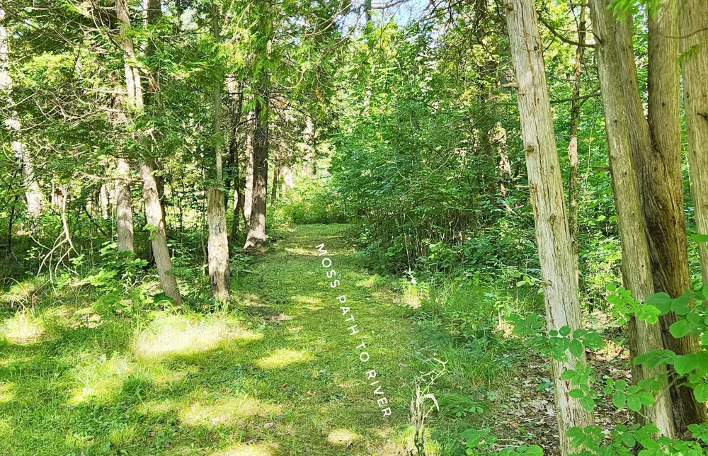 899 E 8th Street White Cloud, MI 49349