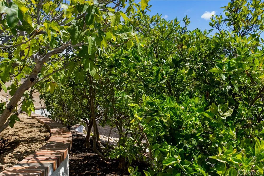 27301 Via Avila Mission Viejo, CA 92691