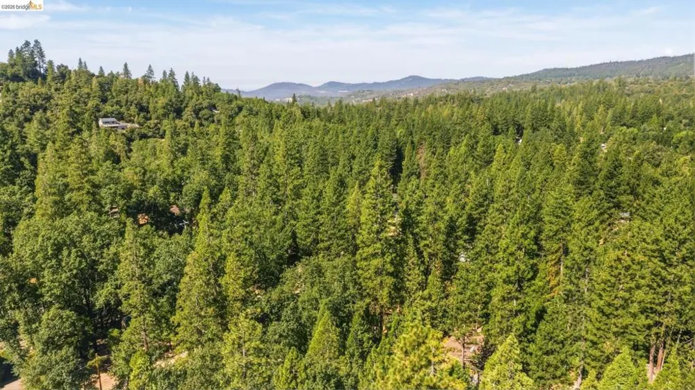 22501 W Rhine River Dr Sonora, CA 95370